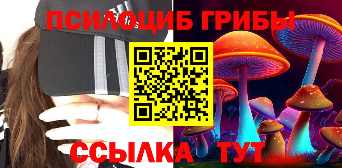 Псилоцибиновые грибы GOLDEN TEACHER  Галлюциногенные грибы ЛСД  Вход с VPN  Мытищи 