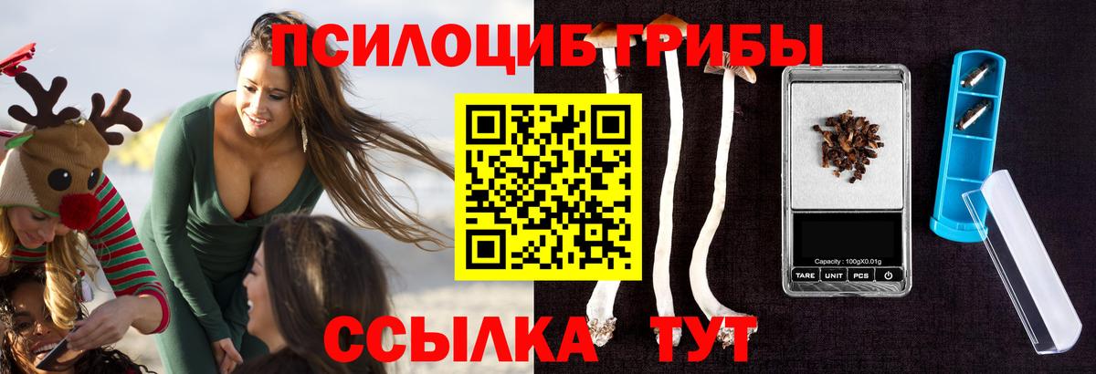 Псилоцибиновые грибы MAGIC MUSHROOMS Мытищи